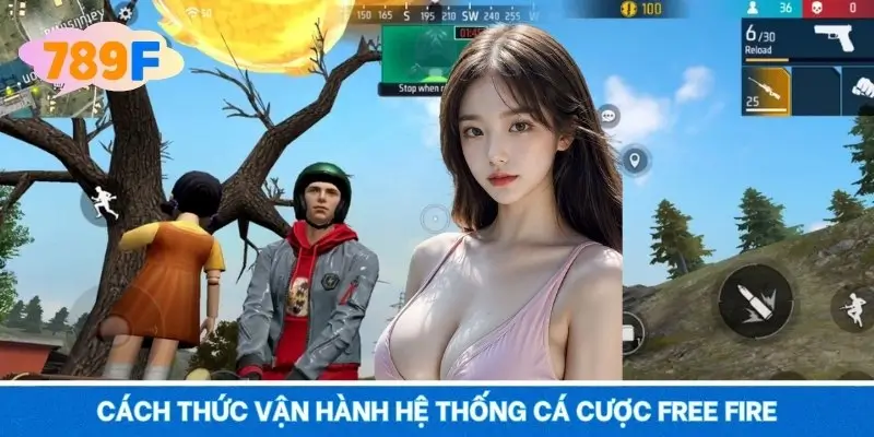 Cách thức vận hành hệ thống cá cược Free Fire Cách thức vận hành hệ thống cá cược Free Fire