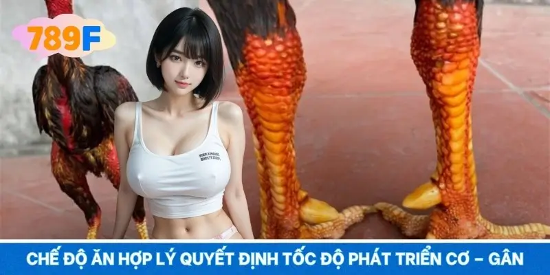 Chế độ ăn hợp lý quyết định tốc độ phát triển cơ – gân