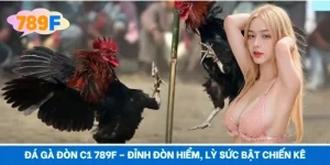 Đá Gà Đòn C1 789F – Đỉnh Đòn Hiểm, Lỳ Sức Bật Chiến Kê