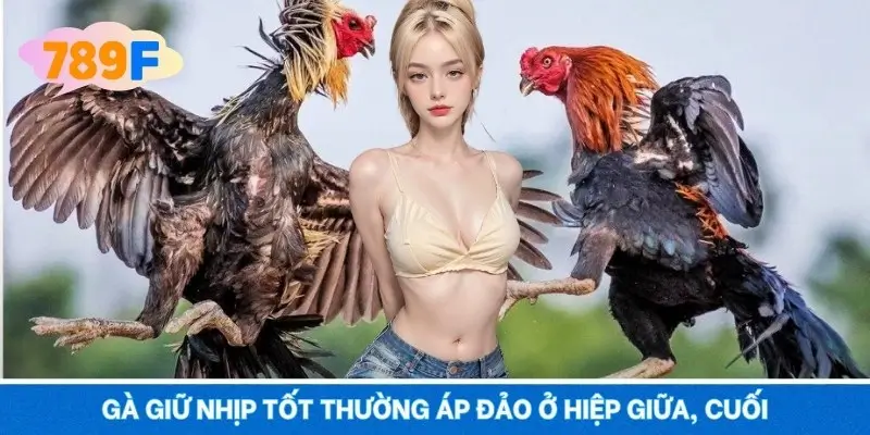 Gà giữ nhịp tốt thường áp đảo ở hiệp giữa, cuối Gà giữ nhịp tốt thường áp đảo ở hiệp giữa, cuối