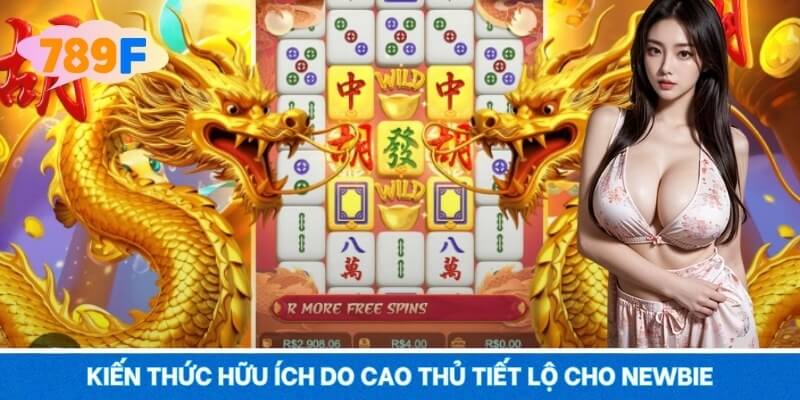 Kiến thức hữu ích do cao thủ tiết lộ cho newbie Kiến thức hữu ích do cao thủ tiết lộ cho newbie