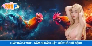 Luật Đá Gà 789F – Nắm Chuẩn Luật, Giữ Thế Chủ Động