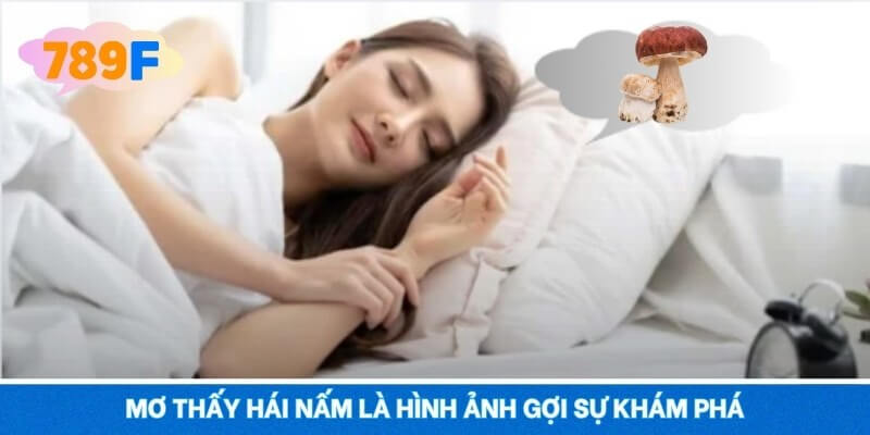 Mơ thấy hái nấm là hình ảnh gợi sự khám phá
