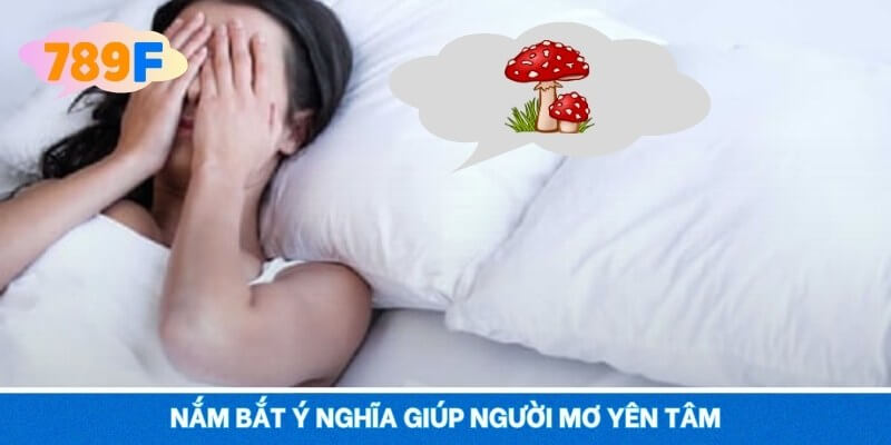 Nắm bắt ý nghĩa giúp người mơ yên tâm