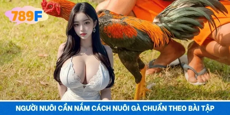Người nuôi cần nắm cách nuôi gà chuẩn theo bài tập