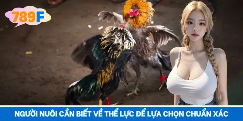 Người nuôi cần biết về thể lực để lựa chọn chuẩn xác Người nuôi cần biết về thể lực để lựa chọn chuẩn xác