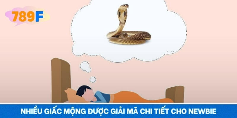 Nhiều giấc mộng được giải mã chi tiết cho newbie