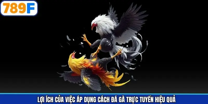 Áp dụng cách tăng tỷ lệ thắng đem về nhiều lợi ích