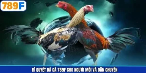 Bí Quyết Đá Gà 789F Cho Người Mới Và Dân Chuyên