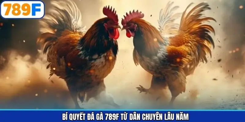 Bí quyết đá gà 789F từ dân chuyên lâu năm