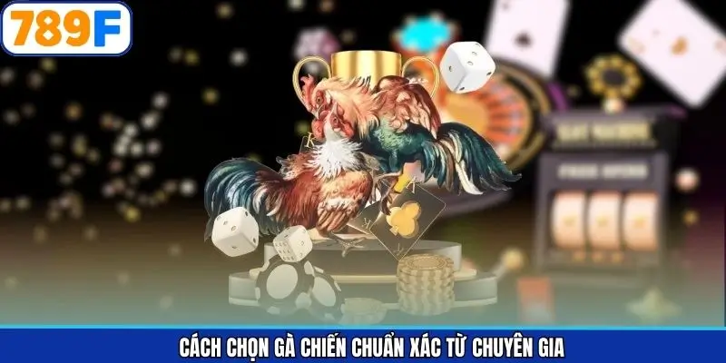 Cách chọn gà chiến chuẩn xác từ chuyên gia