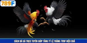 Cách Đá Gà Trực Tuyến Giúp Tăng Tỷ Lệ Thắng 789F Hiệu Quả