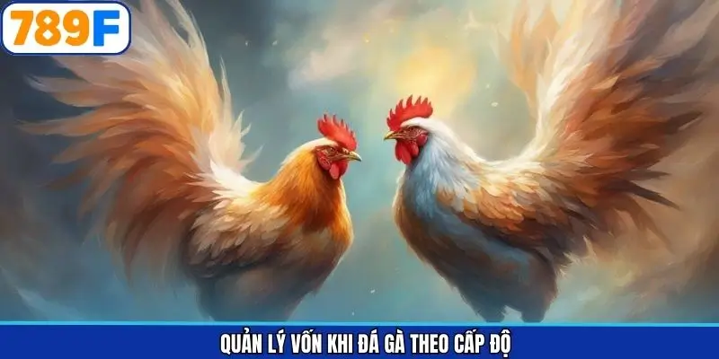 Chia vốn theo cấp độ (Flat Betting và Progressive Betting)