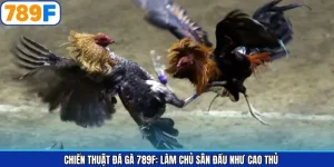 Chiến Thuật Đá Gà 789F: Làm Chủ Sân Đấu Như Cao Thủ