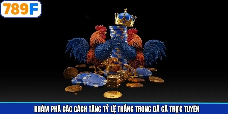 Khám phá các cách tăng tỷ lệ thắng trong đá gà trực tuyến