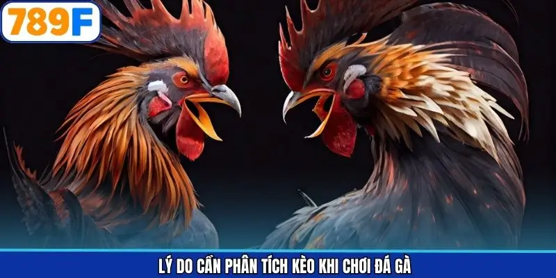 Lợi ích khi phân tích kèo đá gà chuẩn Lợi ích khi phân tích kèo đá gà chuẩn