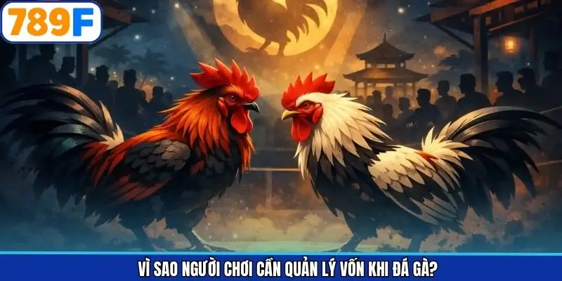 Quản lý vốn là nguyên tắc vàng khi chơi chọi kê