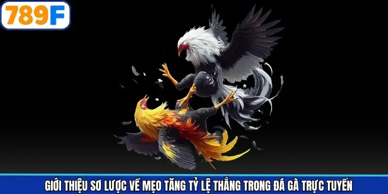 Thông tin tổng quan về mẹo chinh phục đá gà online