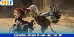 Tuyệt Chiêu Phân Tích Kèo Đá Gà Chuẩn Nhất Cùng 789F